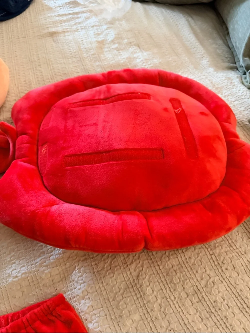 Sebastian toddler 12-18 months